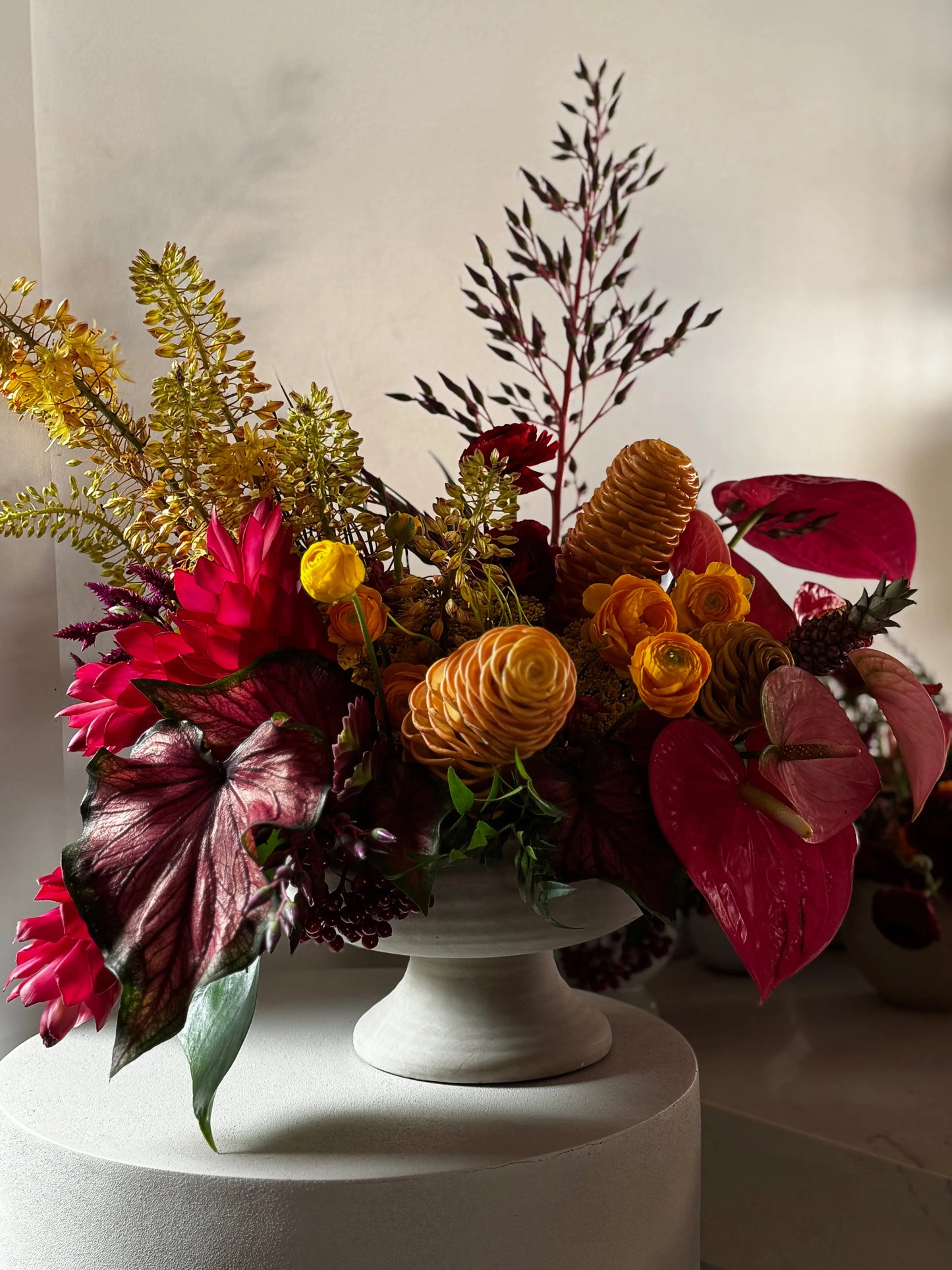 The Tropics Luminous Blooms