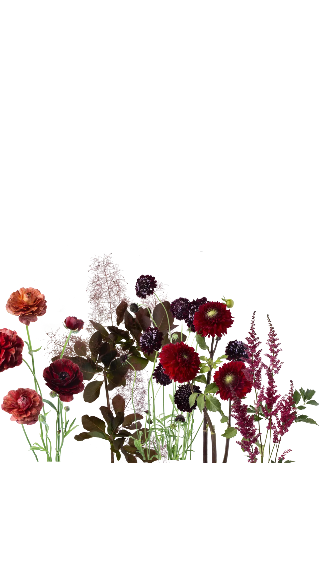 Bright color palette, Luminous Blooms, Florist in Highland Park, IL