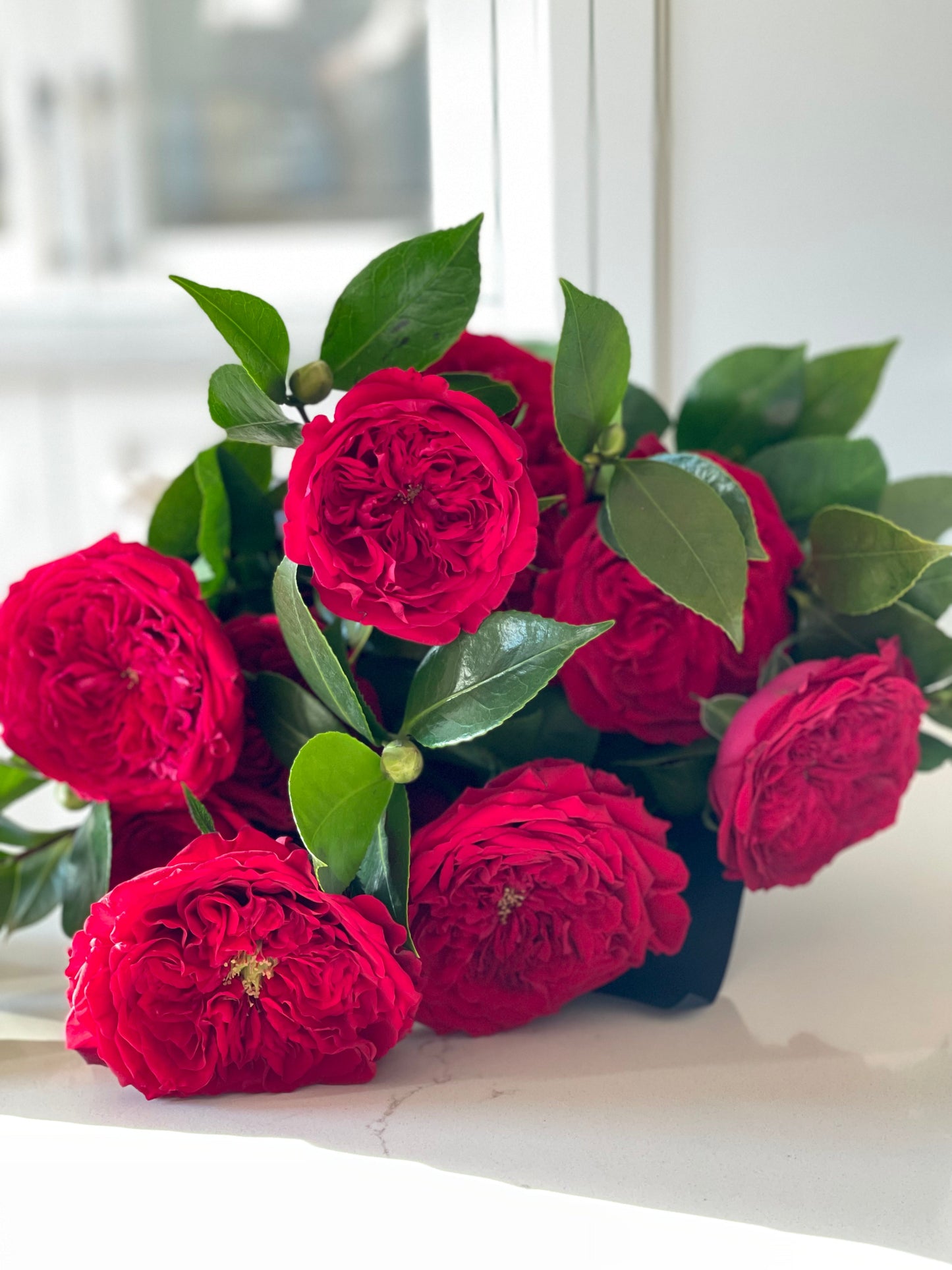 "Happy Anniversary" David Austin Garden Roses in a Vase