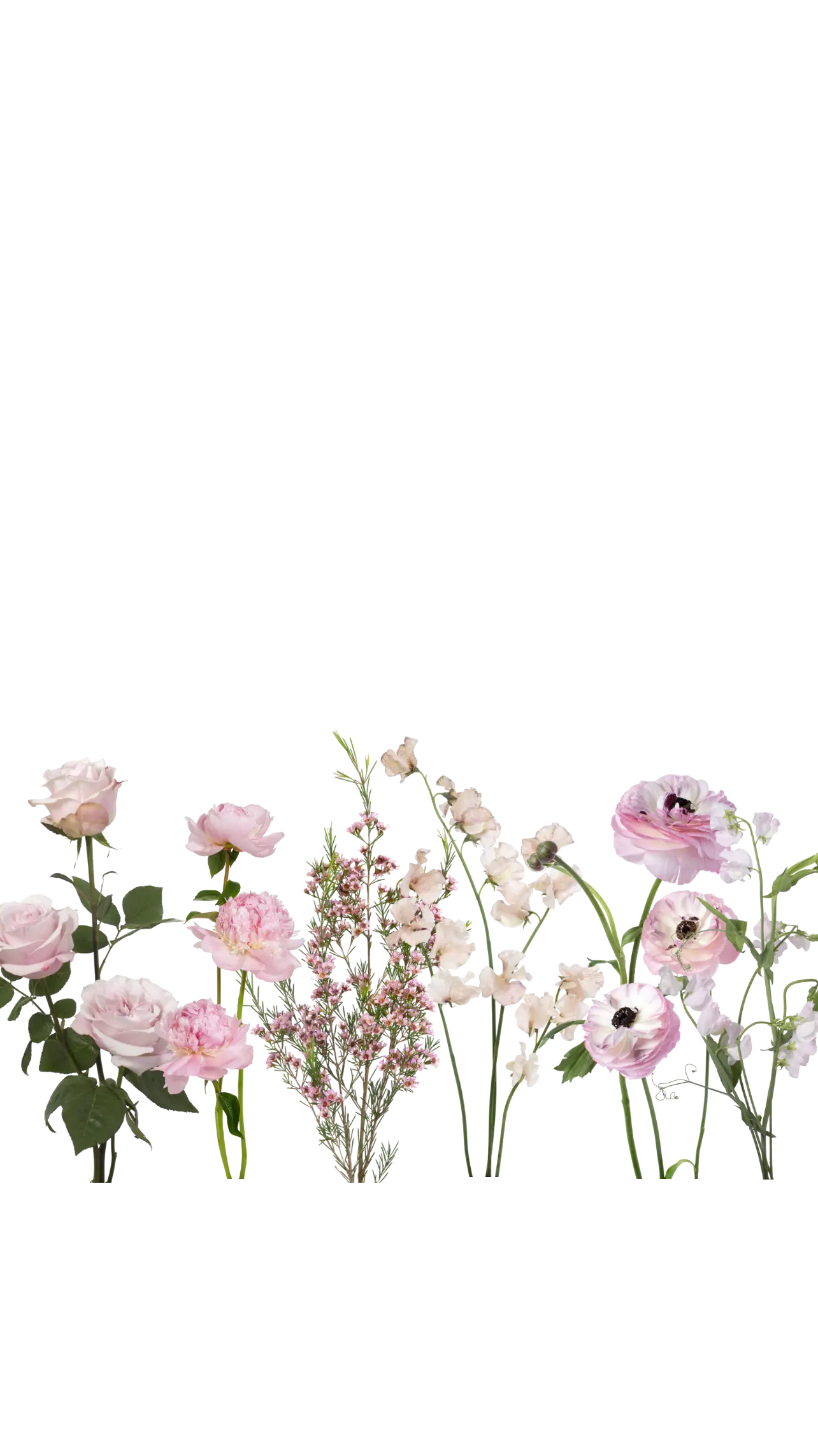 Boutonnieres Luminous Blooms
